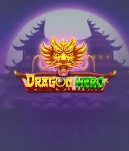 Войдите в легендарное приключение с Dragon Hero Slot от Pragmatic Play, демонстрирующей яркую графику могучих драконов и героических битв. Исследуйте царство, где магия встречается с приключением, с представляющими зачарованных оружий, мистических существ и сокровищ для очаровательного игрового опыта.